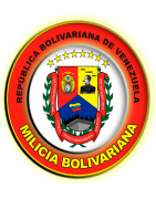 Parches Milicia Bolivariana - Almyk C.A.